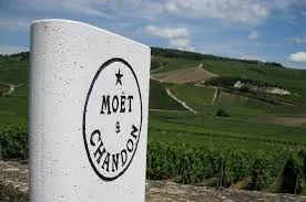 Paris Travel Itinerary Moet